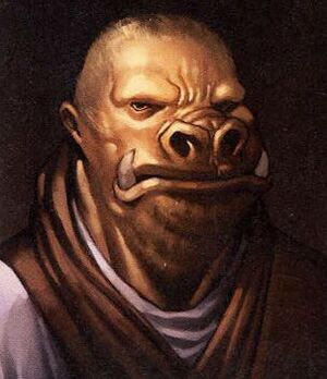 Swse species snivvian.jpg
